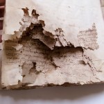 Ëtat de conservation d'un manuscrit avant sa restauration